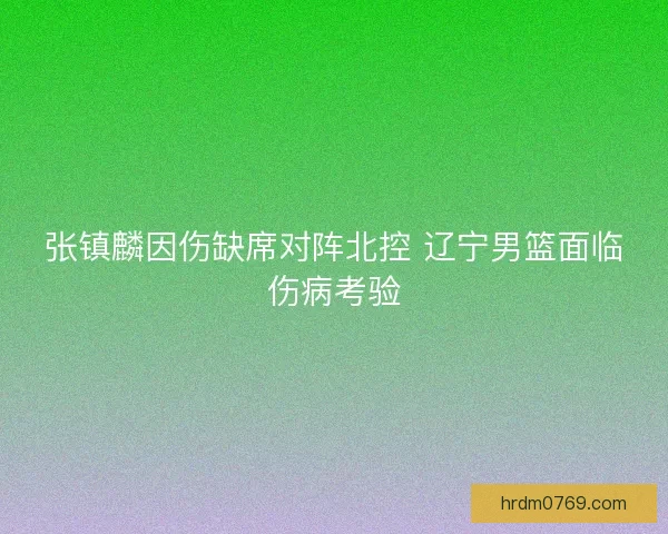 张镇麟因伤缺席对阵北控 辽宁男篮面临伤病考验